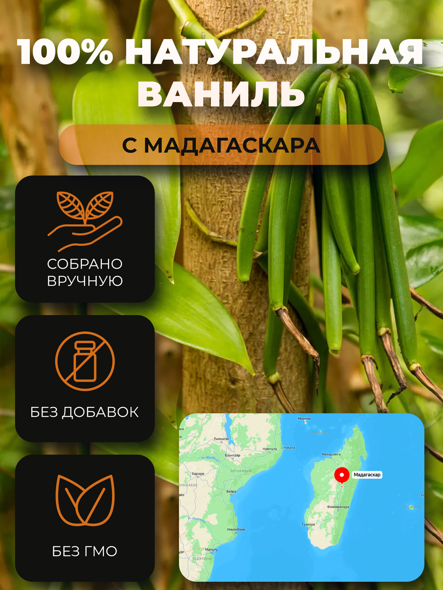 Микрозелень (микрогрин) СПБ NanoGreen ваниль Мадагаскар